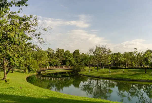 Pond Maintenance