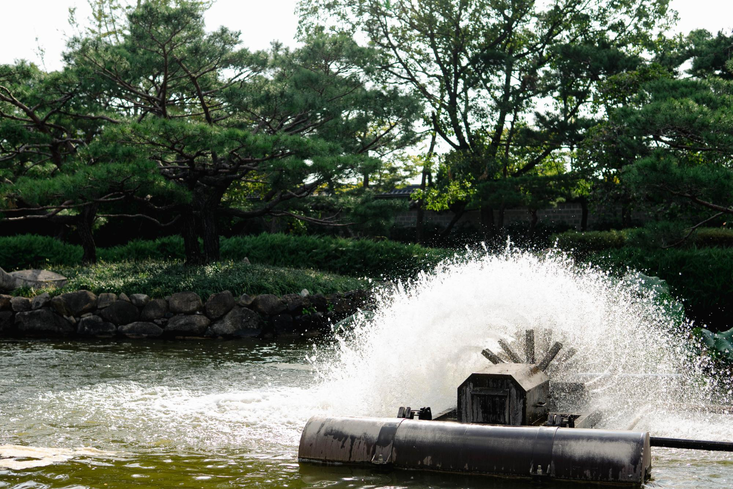 blog-detail1
