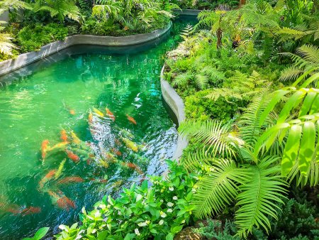 How to Tell If Your Pond Needs Water Quality Testing