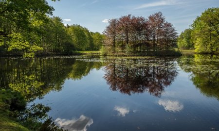 Alum Treatments for Improved Pond Water Quality