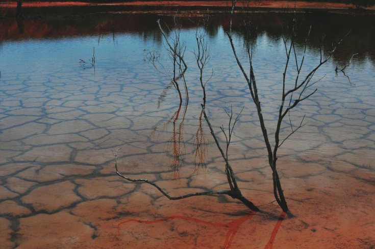 Why Is My Pond Drying Up?