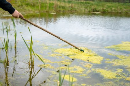 Do You Know How to Protect Your Pond?