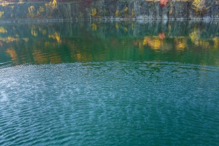 Could My Pond Be Too Clear?