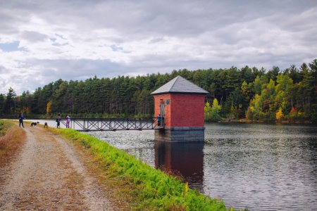 Six Steps to Constructing Your Own Lake or Pond