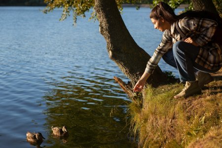 Controlling Invasive Species Without Harming Your Lake