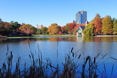 Your Lake Looks Fine—But Is It Actually Healthy?