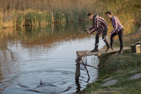 Managing Fish Populations in Your Lake: Stocking & Balance