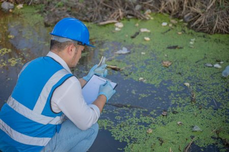Why Invasive Aquatic Weeds Spread So Fast—and How to Stop Them