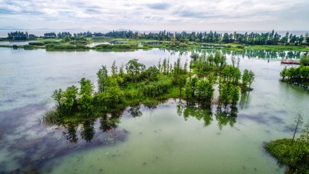 The Danger of Vegetation Overgrowth on Spillways (It’s More Than Just an Eyesore)